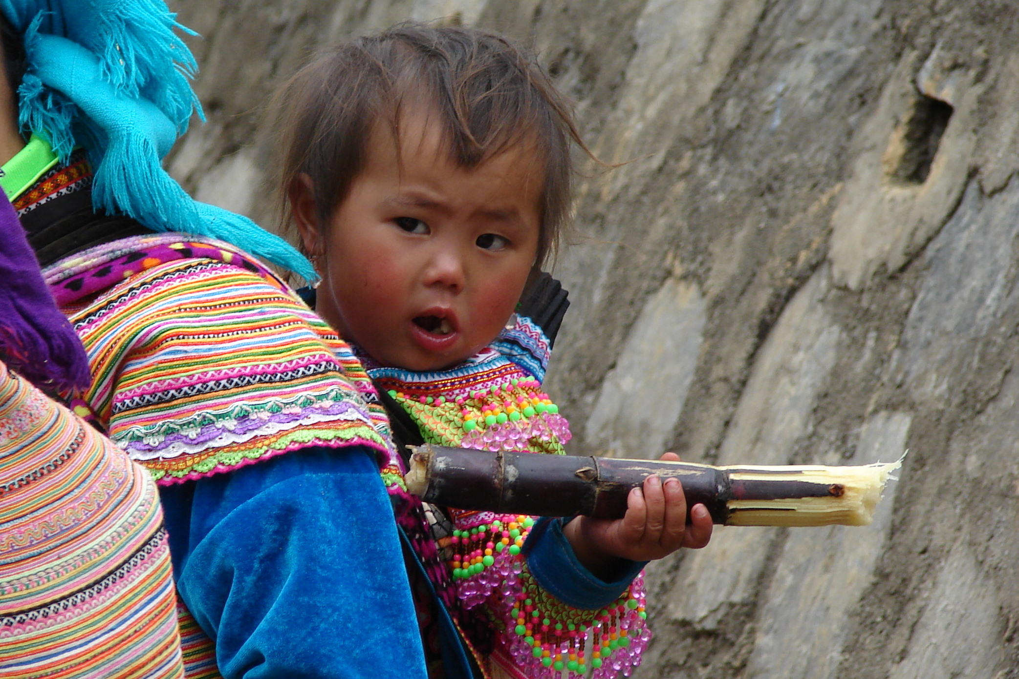 A hmongok Vietnámban