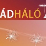 Partnerünk a Családháló