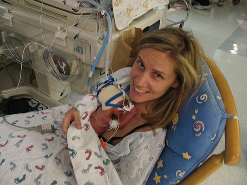 Kenguru mamák és kenguru babák